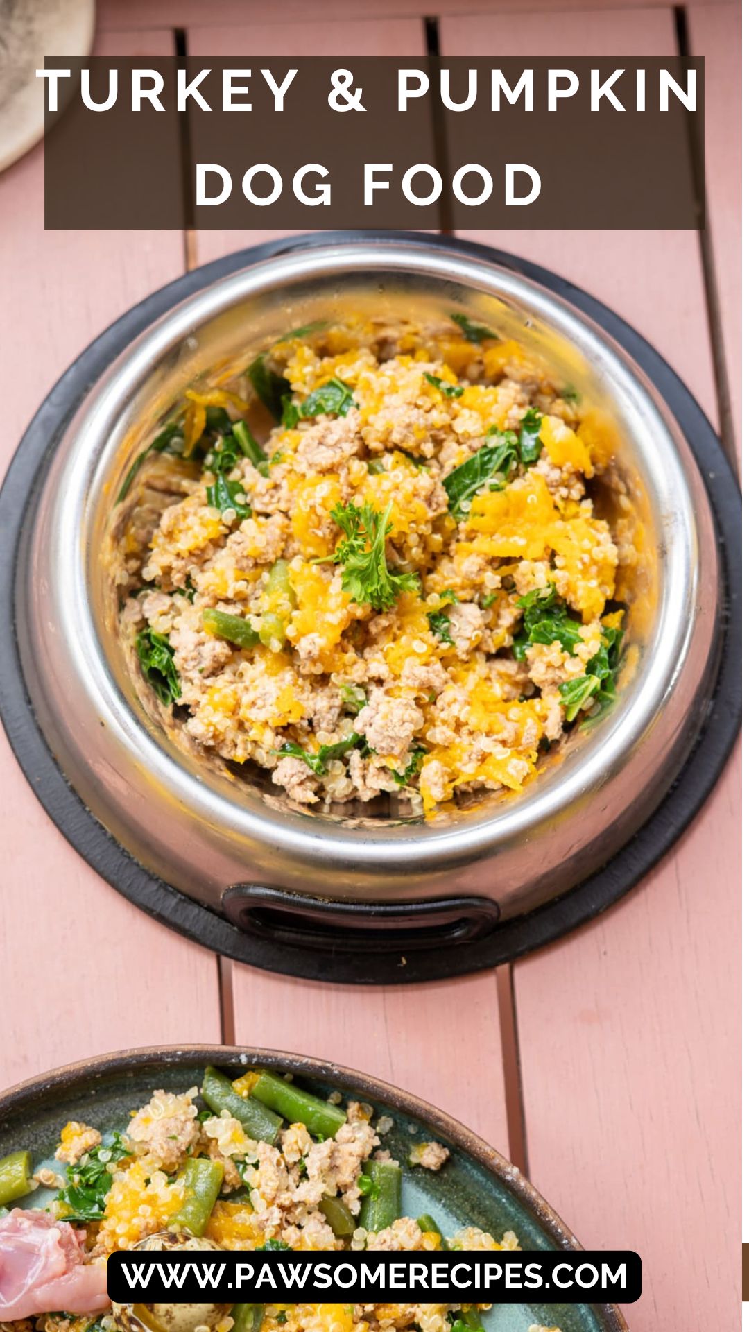 Turkey and Pumpkin Dog Food