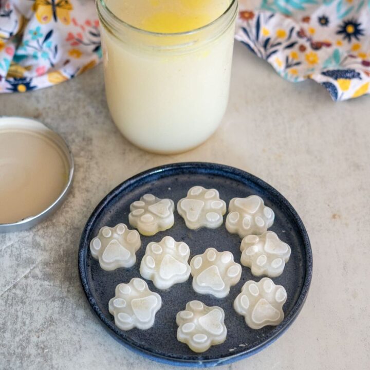 A blue plate with ten paw-shaped frozen treats sits next to an open jar of light yellow liquid on a light countertop. A floral cloth is in the background.