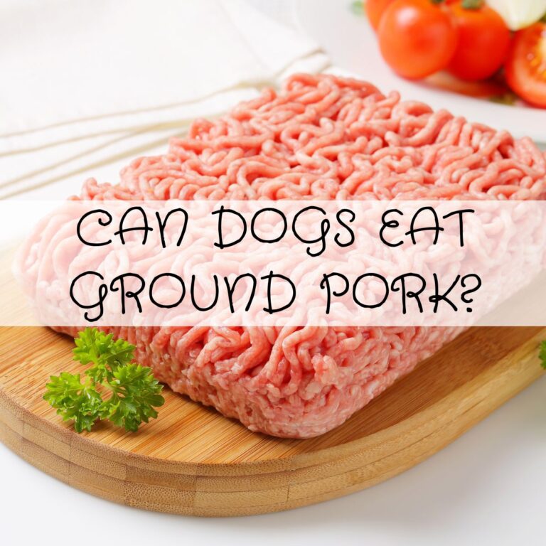A block of raw ground pork on a wooden cutting board with parsley, tomatoes, and a towel in the background. Text overlay asks, "Can dogs eat ground pork?.