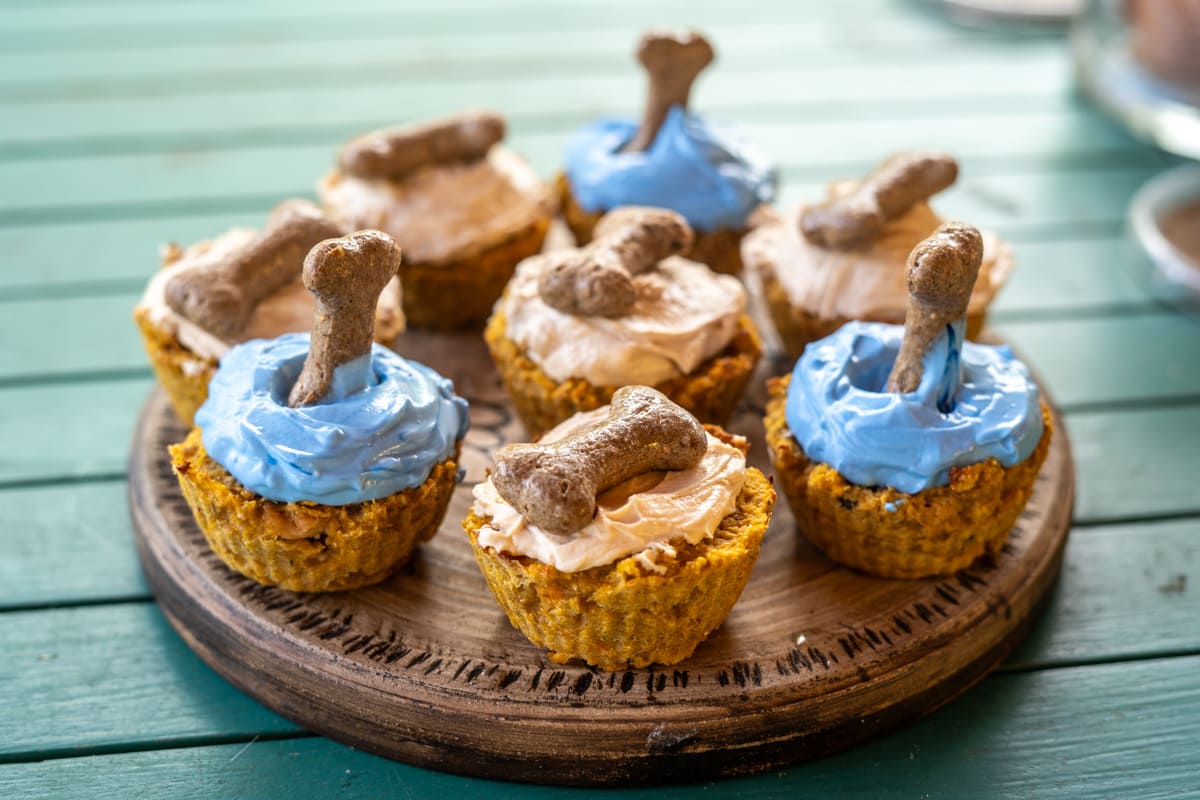A round wooden tray with eight cupcakes topped with blue and beige frosting and a dog bone-shaped treat on each, sitting on a green wooden surface.