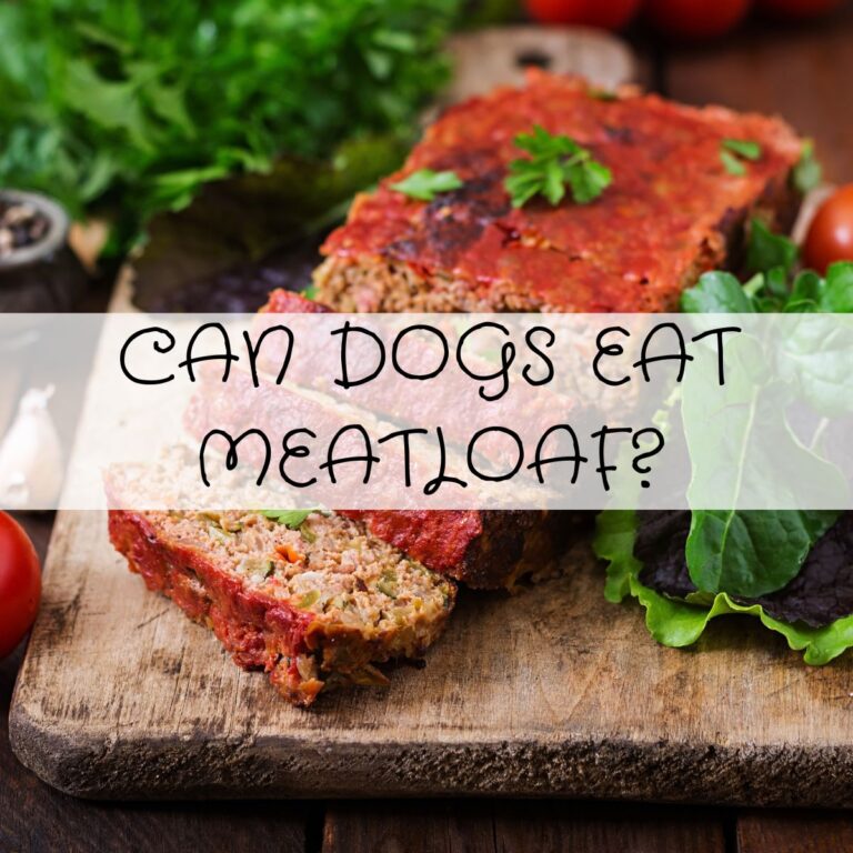 A meatloaf on a wooden board with leafy greens and tomatoes, overlaid with the text, "Can dogs eat meatloaf?.