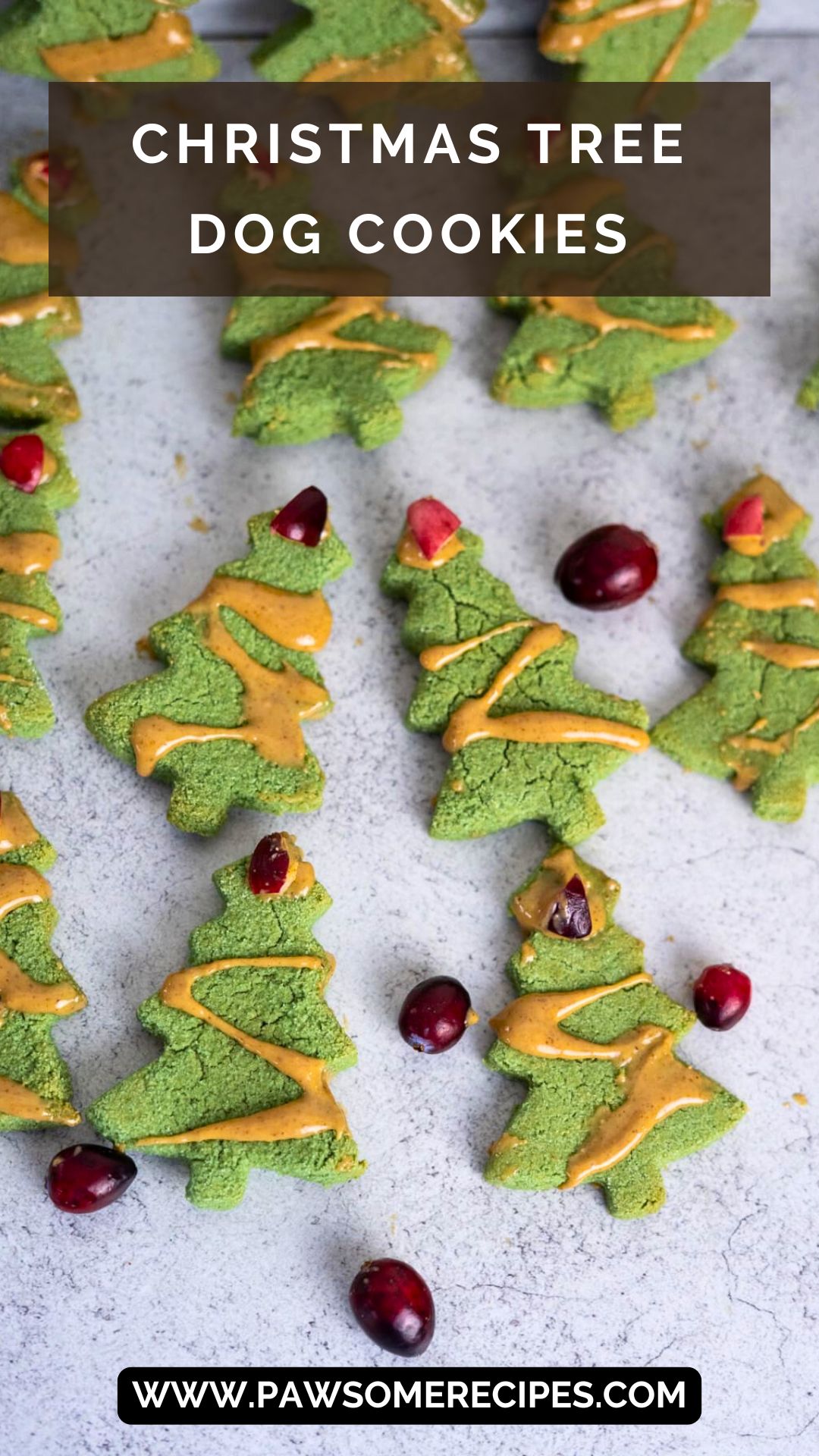 Christmas Tree Dog Treats