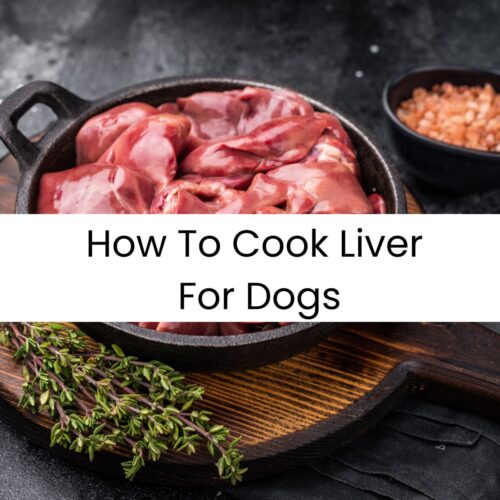 Photo inspiration: Visual Reference: How To Cook Liver For Dogs