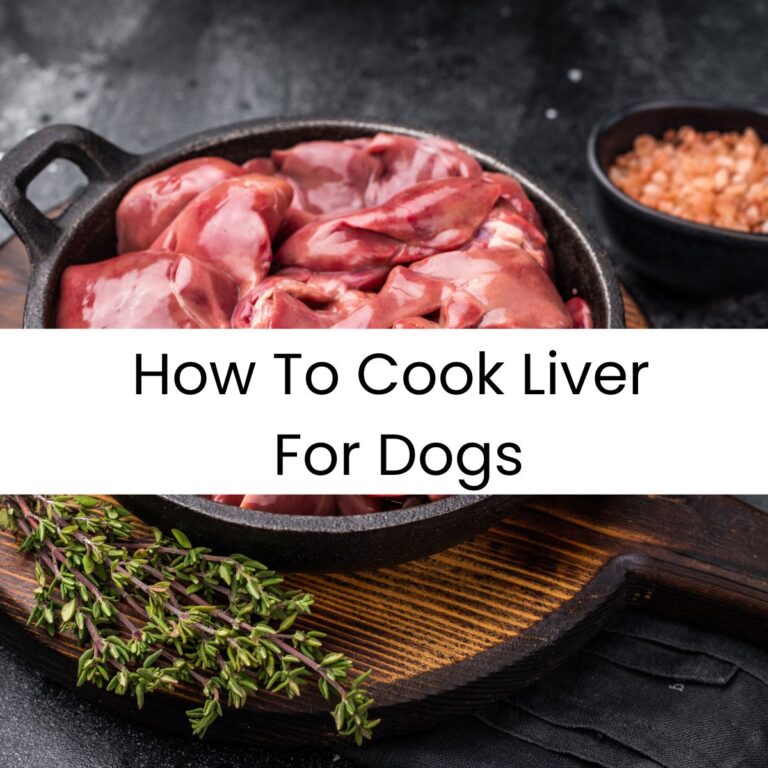 Illustration of Healthy Dog Food Recipes With Liver