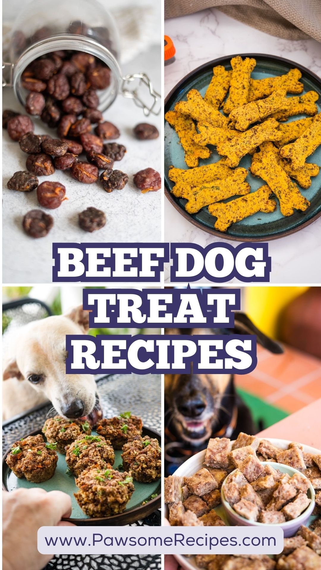 Collage of homemade beef dog treats, including dried beef pieces, baked bone-shaped treats, muffin-style treats, and cubed treats, with the text "Beef Dog Treat Recipes" and website link.