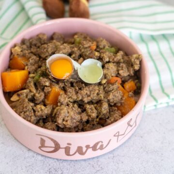 A pink bowl labelled "Diva" contains a venison dog food recipe with minced meat, vegetables, and cracked eggshells with yolk and egg white on top, placed on a light surface near a striped cloth.
