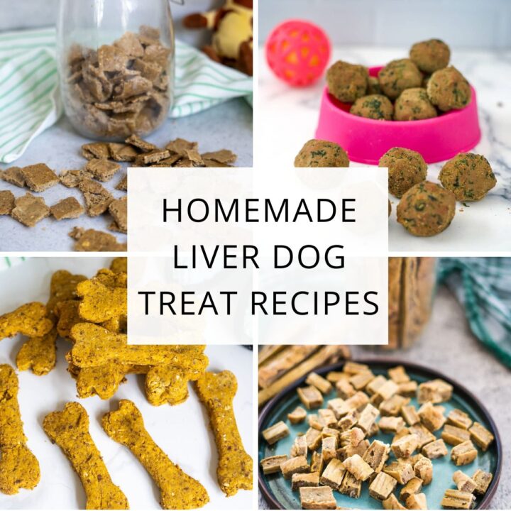 Collage of homemade liver dog treats in various shapes and sizes, including balls, squares, cubes, and bones. The image highlights a delightful assortment of homemade liver dog treats with a central text reading “Homemade Liver Dog Treat Recipes.”.