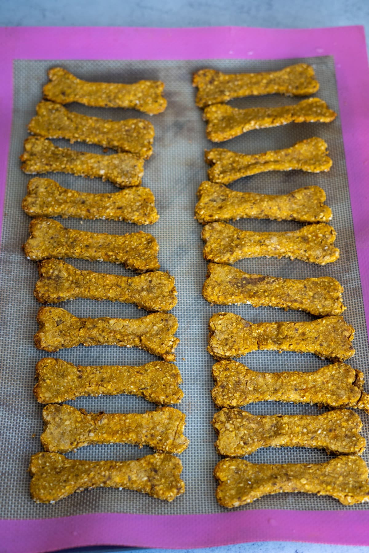 Rows of bone-shaped dog biscuits arranged on a silicone baking mat with a pink border.