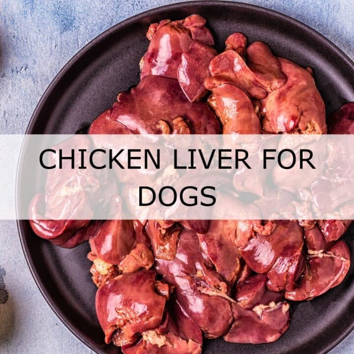A plate of raw chicken livers on a grey surface with the text "Chicken Liver For Dogs" overlaid in the centre.