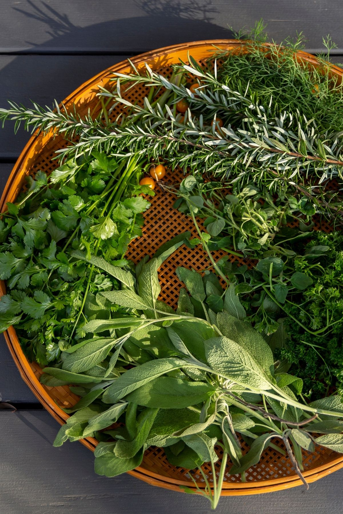A round basket filled with a variety of fresh, dog-safe herbs, including rosemary, sage, coriander, parsley, and dill, placed on a dark wooden surface.
