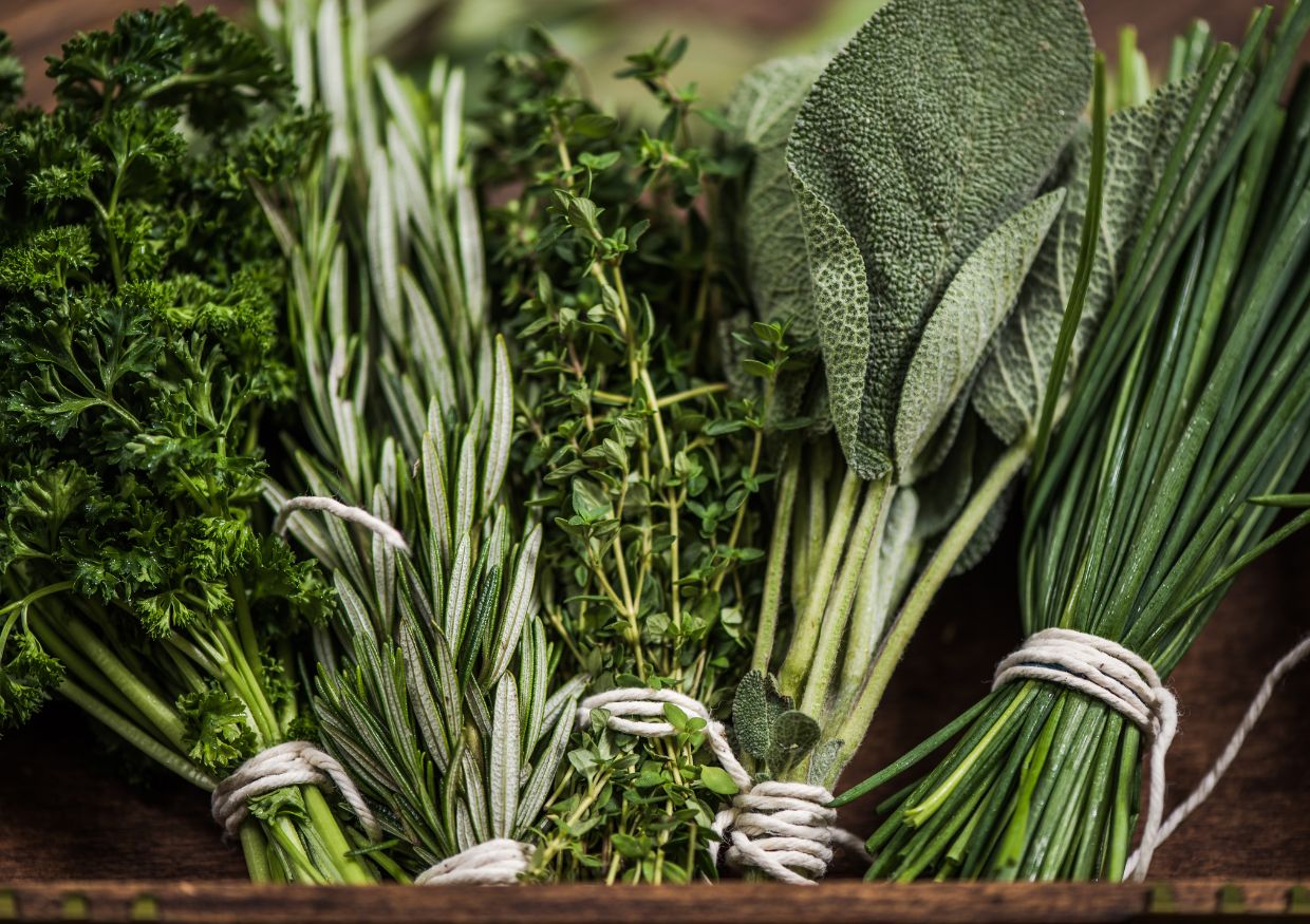 Four bundles of fresh, dog-safe herbs—parsley, rosemary, thyme, sage, and chives—tied with string and arranged side by side on a wooden surface.