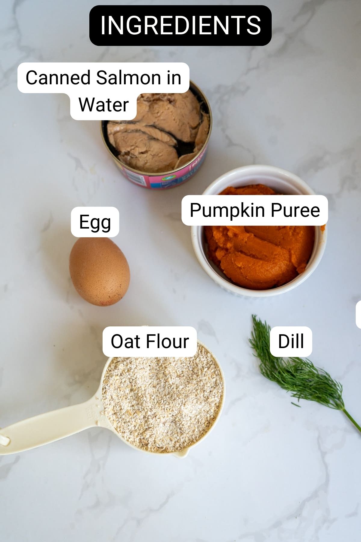 Top view of labelled ingredients for salmon meatballs for dogs on a white surface: tinned salmon in water, pumpkin purée, egg, oat flour in a measuring jug, and a sprig of dill.