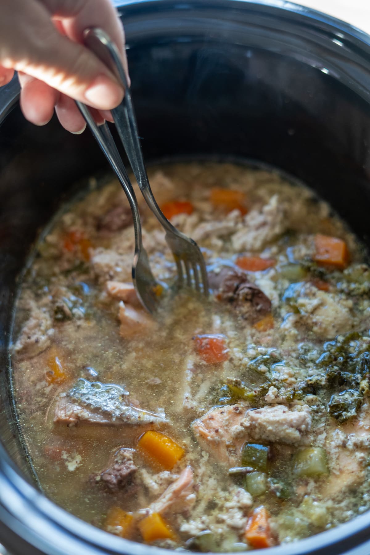 A hand uses two forks to shred cooked meat in a slow cooker filled with stew containing vegetables like carrots and leafy greens, much like preparing homemade turkey and salmon dog food.