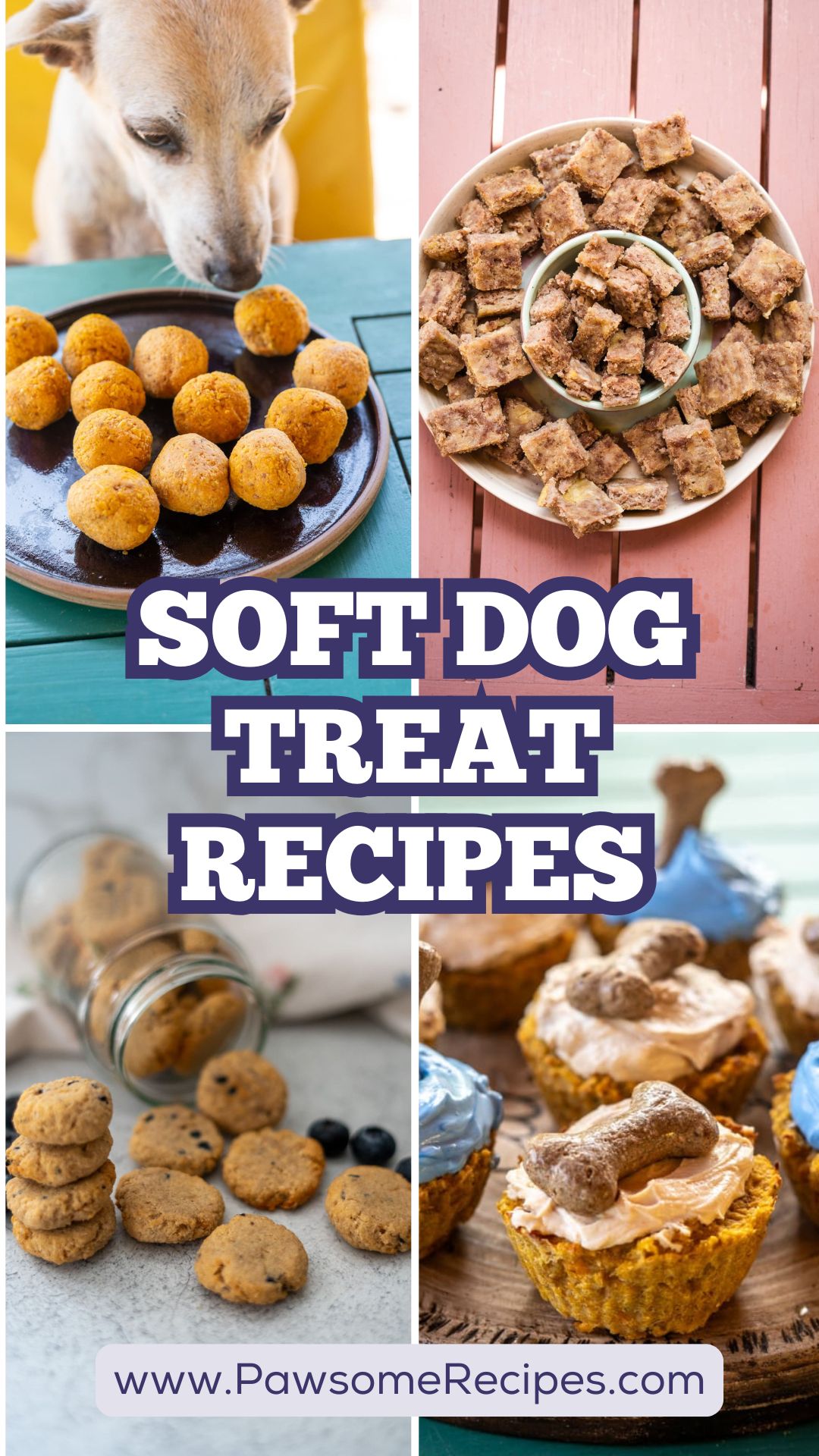 Collage of various homemade soft dog treats, including round biscuits, bite-sized squares, cookies, and iced cupcakes, with a dog eyeing a treat. Text reads: "Soft Dog Treat Recipes—perfect for making your own soft dog treat recipes at home.