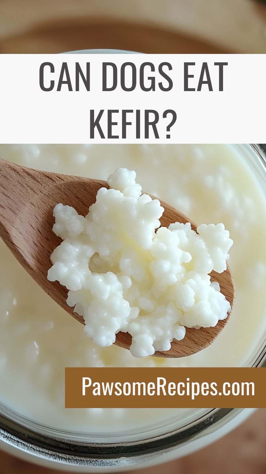A wooden spoon holding kefir grains above a jar of kefir, with text asking if dogs can eat kefir and a website link at the bottom.