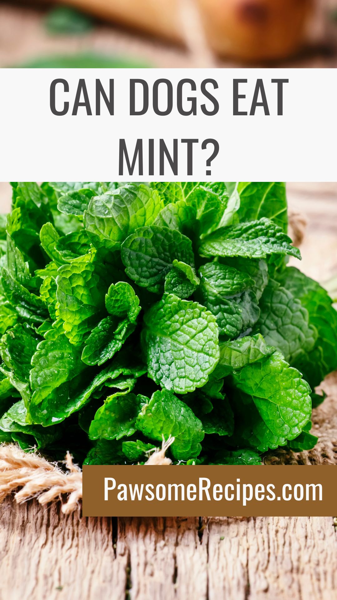 A bunch of fresh mint leaves on a wooden surface with the text "Can dogs eat mint?" and "PawsomeRecipes.co.uk" displayed.