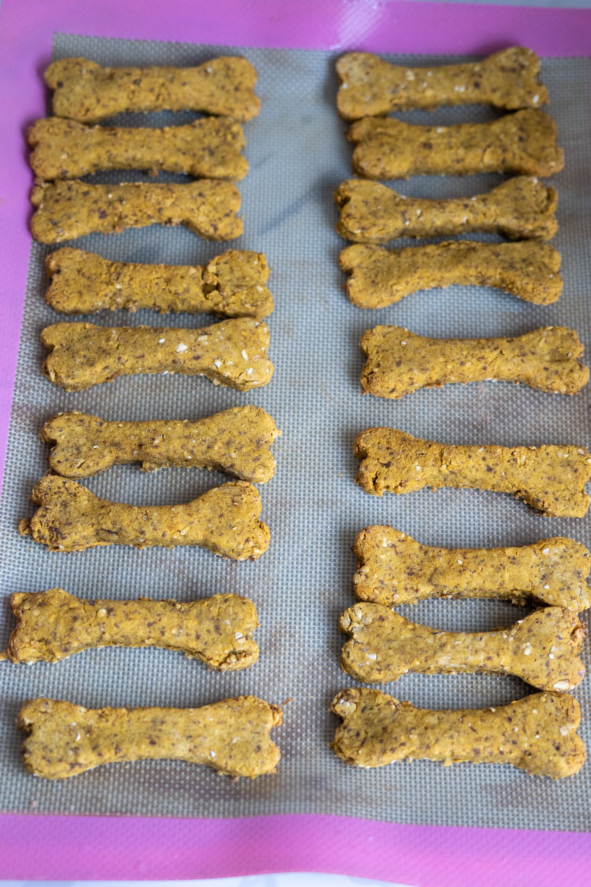 Bone-shaped dog biscuits arranged in three rows on a baking tray with a pink border.