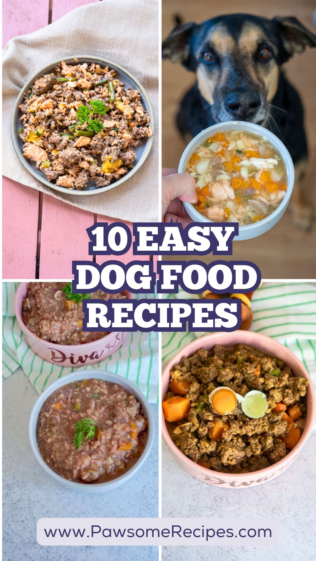 A dog looks at one of four bowls of easy homemade dog food, with text reading “10 Easy Dog Food Recipes” and the website address PawsomeRecipes.com.