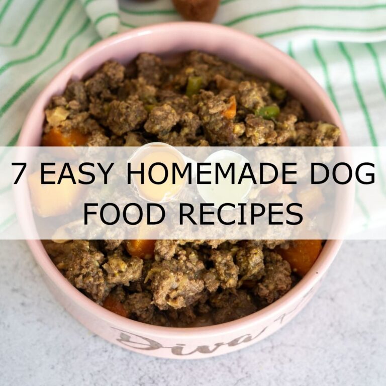 A bowl of homemade dog food with meat and vegetables, placed on a striped green and white towel. Text overlay reads, "7 Easy Homemade Dog Food Recipes.