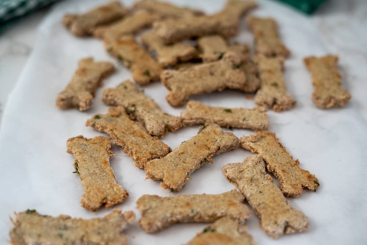 Bone-shaped dog treats arranged on a sheet of baking parchment, perfect for baking with coconut flour for dogs.