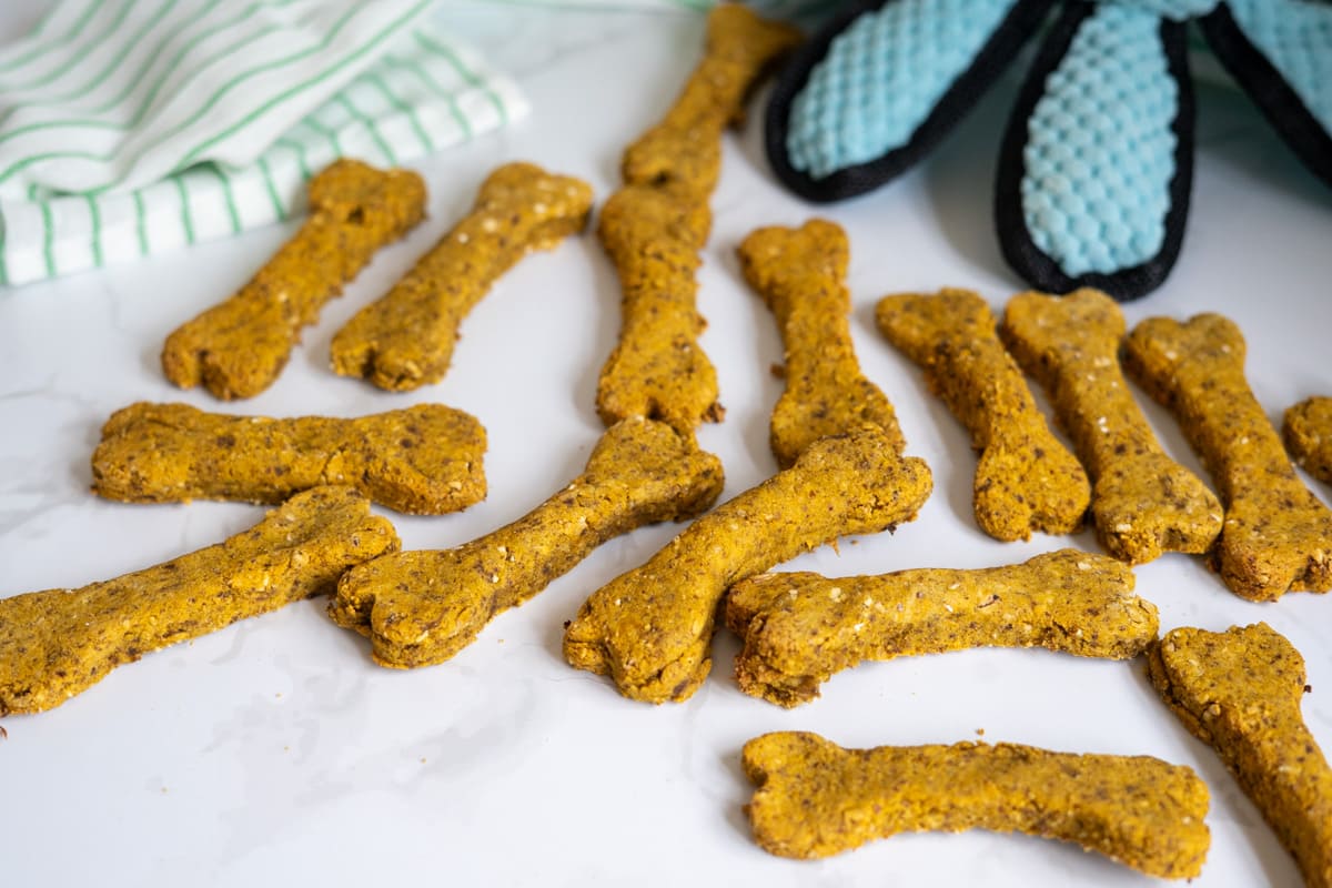 Bone-shaped homemade dog treats on a white surface, with a striped tea towel and a pair of blue oven gloves in the background.