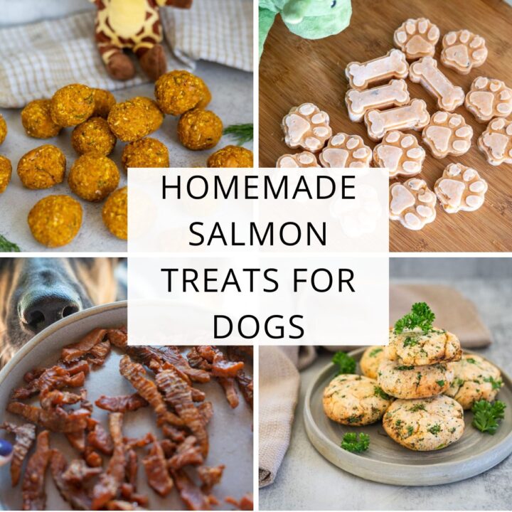 A collage showing four types of homemade salmon dog treats, including baked balls, bone and paw-shaped treats, strips, and round cakes, with a text overlay reading "Homemade Salmon Treats for Dogs.