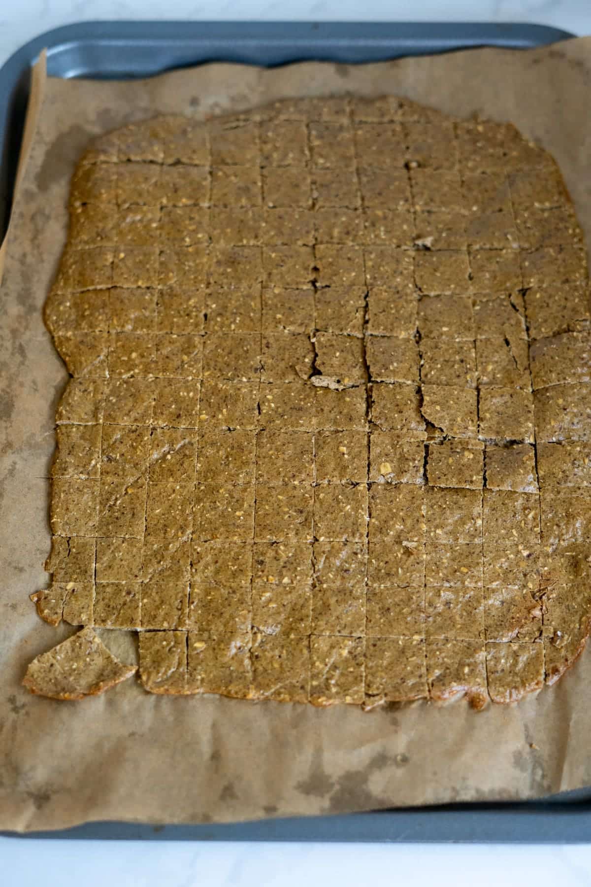 A large sheet of homemade duck dog treats, scored into small squares, sits on baking parchment on a baking tray.