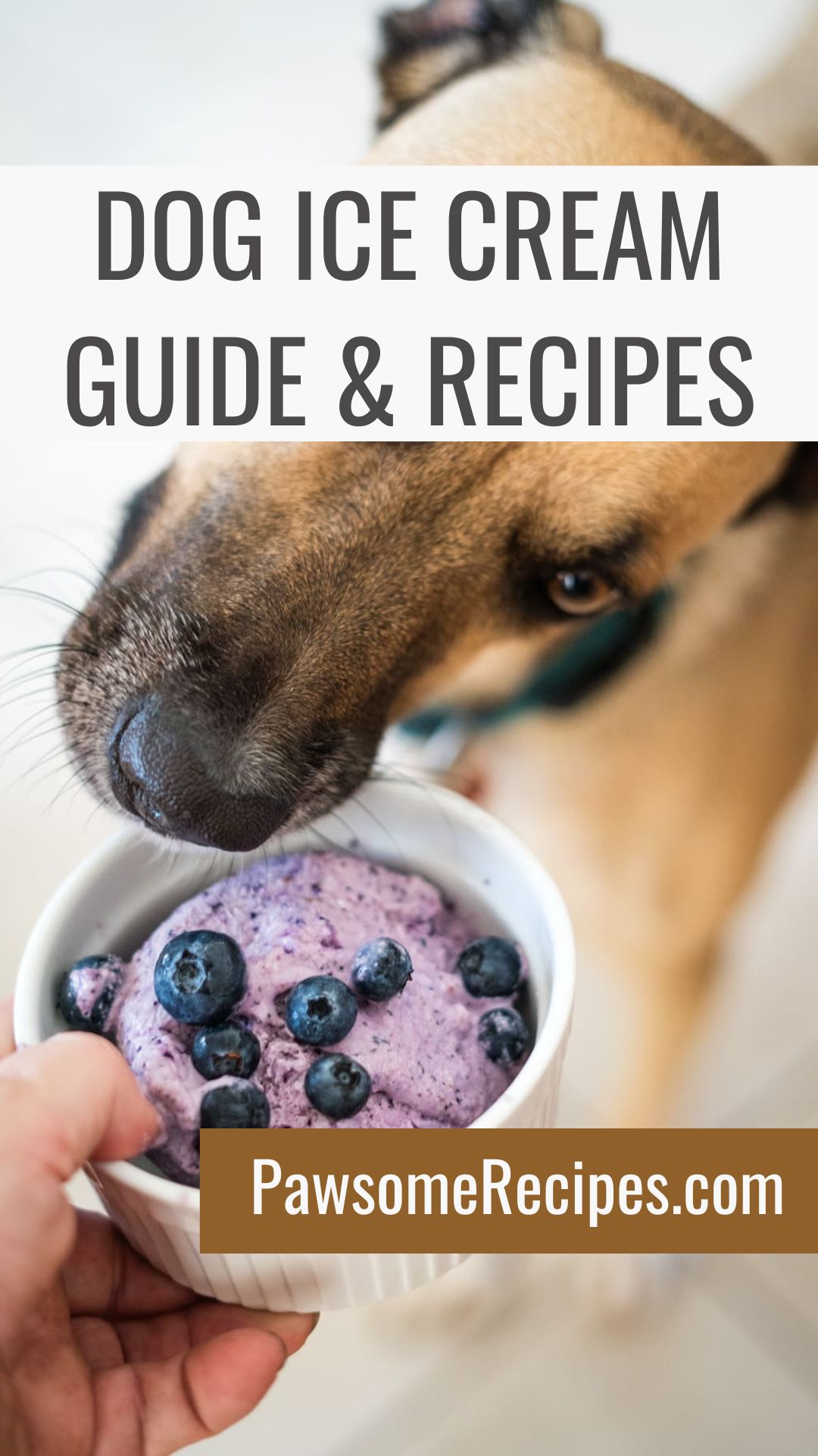 A person holds a bowl of blueberry dog ice cream in front of a brown dog. Text on image: "Dog Ice Cream Guide & Recipes," "PawsomeRecipes.co.uk.