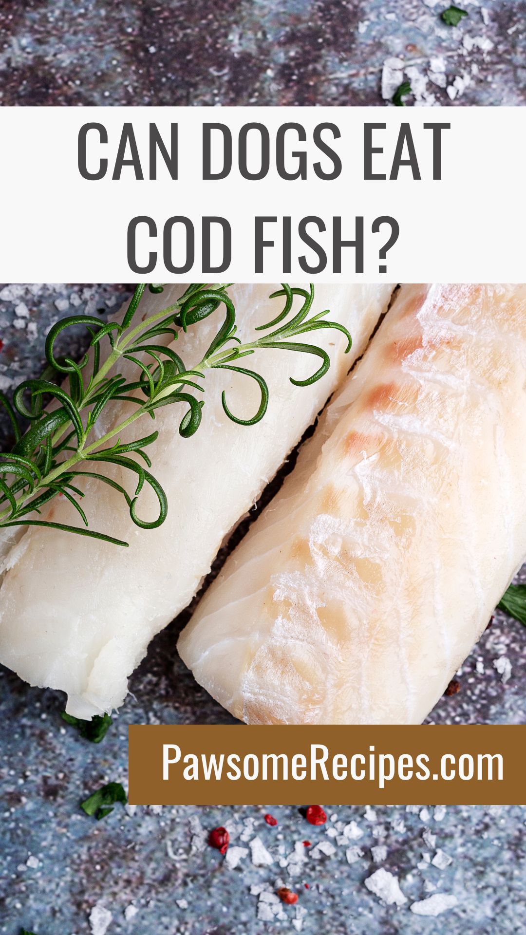 Two raw cod fish fillets with a sprig of rosemary on a textured surface, text reads "Can dogs eat cod fish?" and "PawsomeRecipes.co.uk".
