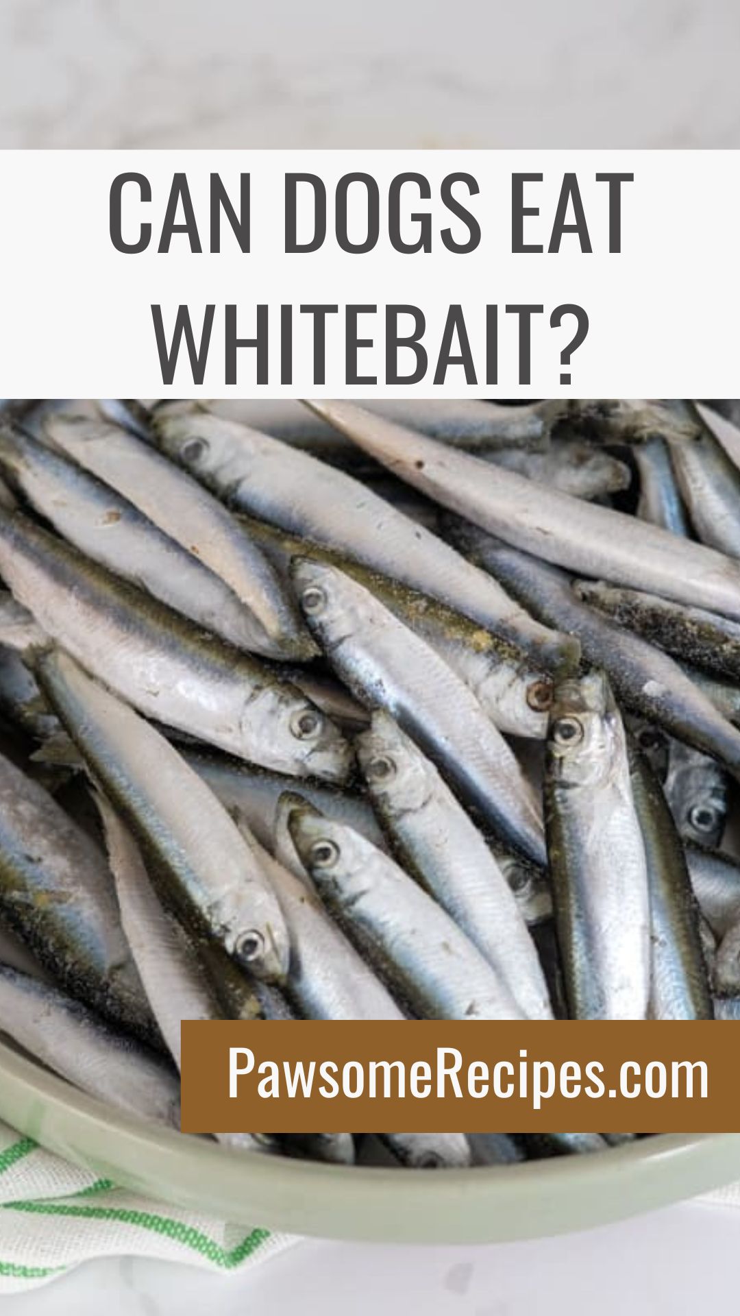 A bowl filled with whole raw whitebait fish, with text asking "Can dogs eat whitebait?" and a website link to PawsomeRecipes.co.uk.