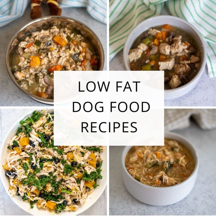 Four bowls of homemade dog food with vegetables and chicken, arranged around a central text that reads "Low Fat Dog Food Recipes"—perfect inspiration for easy, low fat dog food recipes your pup will love.