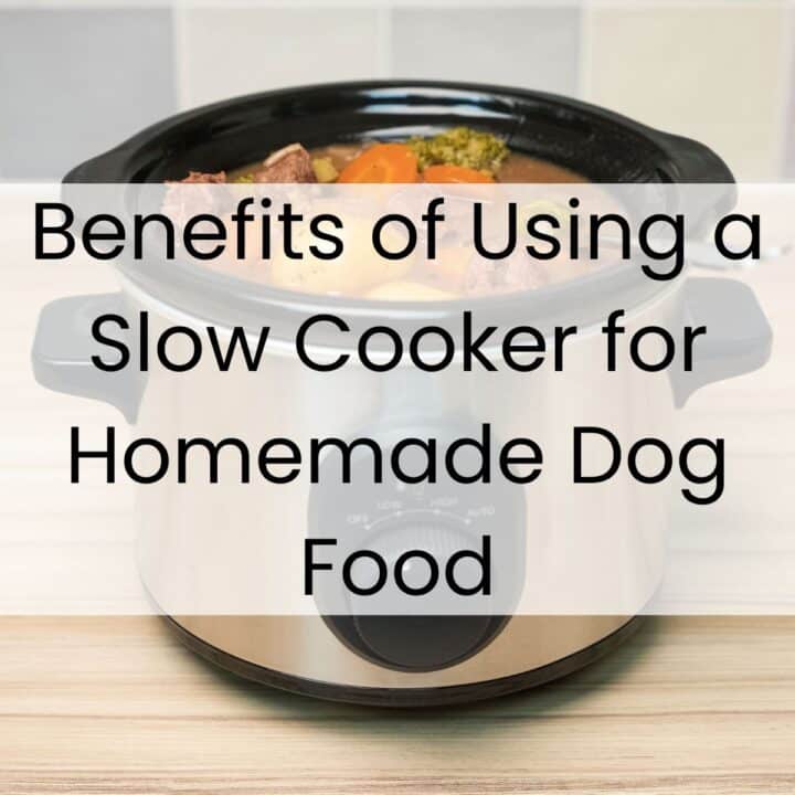 A slow cooker filled with homemade dog food sits on a kitchen worktop, with text overlay discussing the benefits of using a slow cooker for preparing dog food.