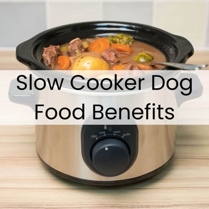 A slow cooker filled with slow cooker dog food—homemade with meat, potatoes, carrots, and broccoli—sits on a kitchen worktop. Text overlay reads "Slow Cooker Dog Food Benefits.