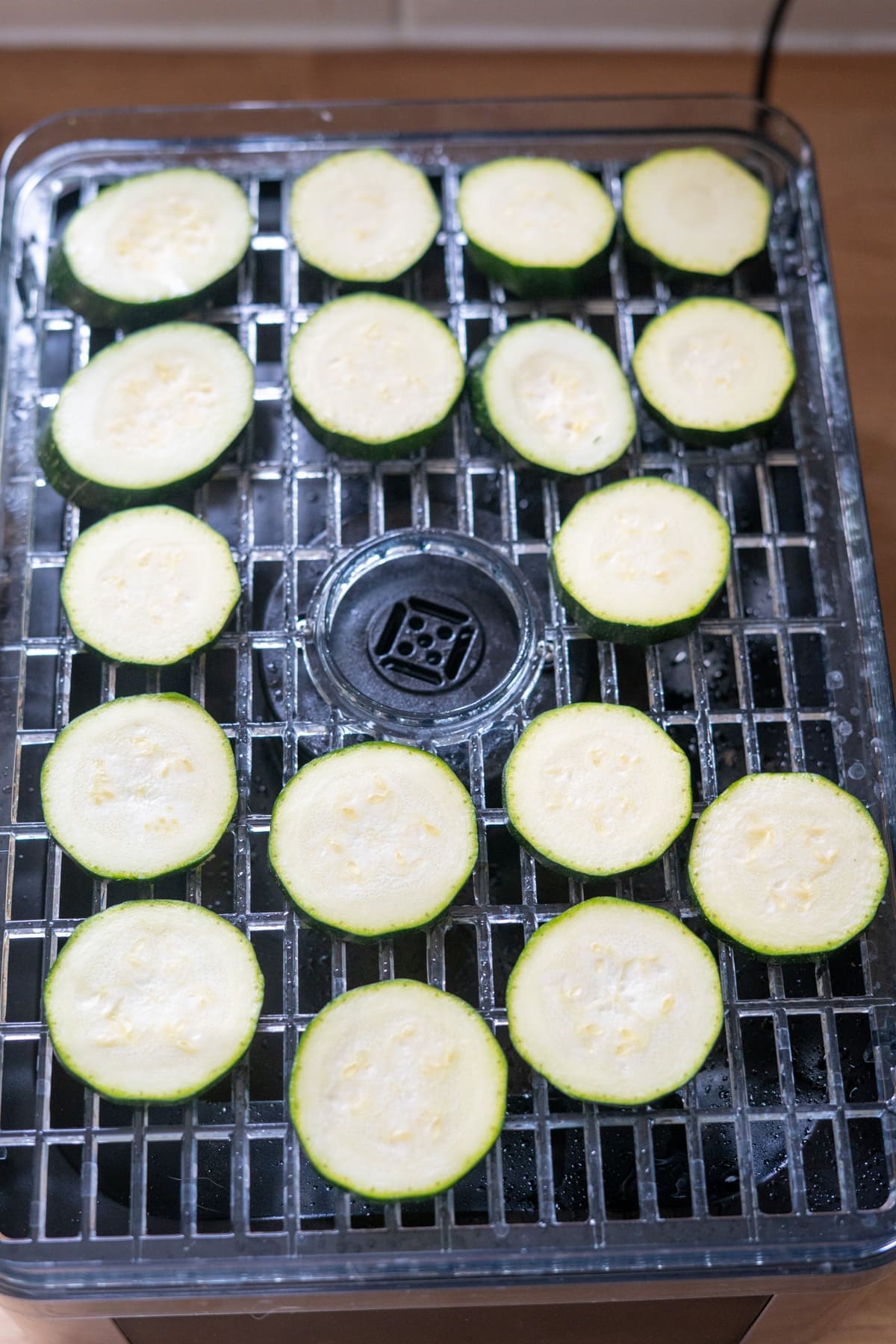 Sliced courgette rounds arranged on the rack of a food dehydrator, ready for drying.