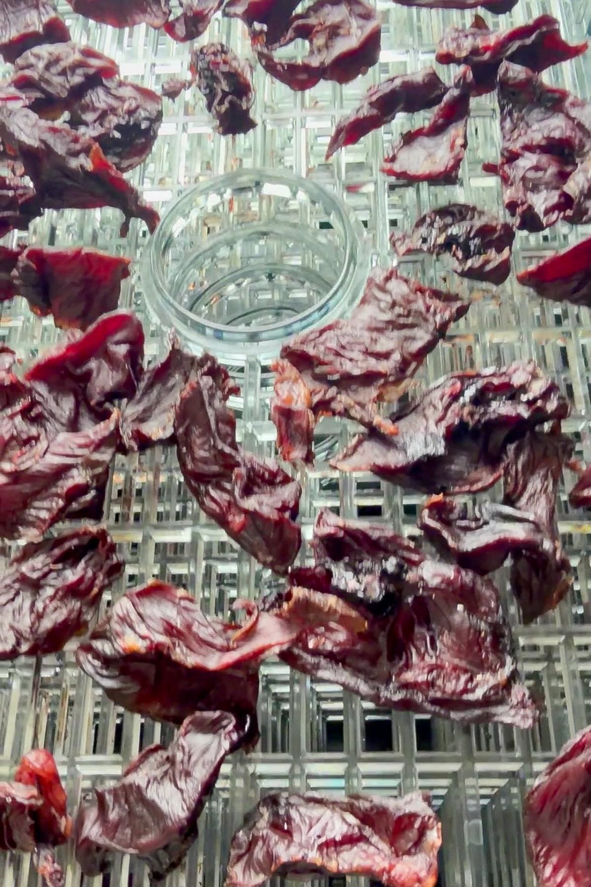 Slices of dried fruit, possibly tomatoes, arranged on a metal mesh surface with a circular glass container in the centre.