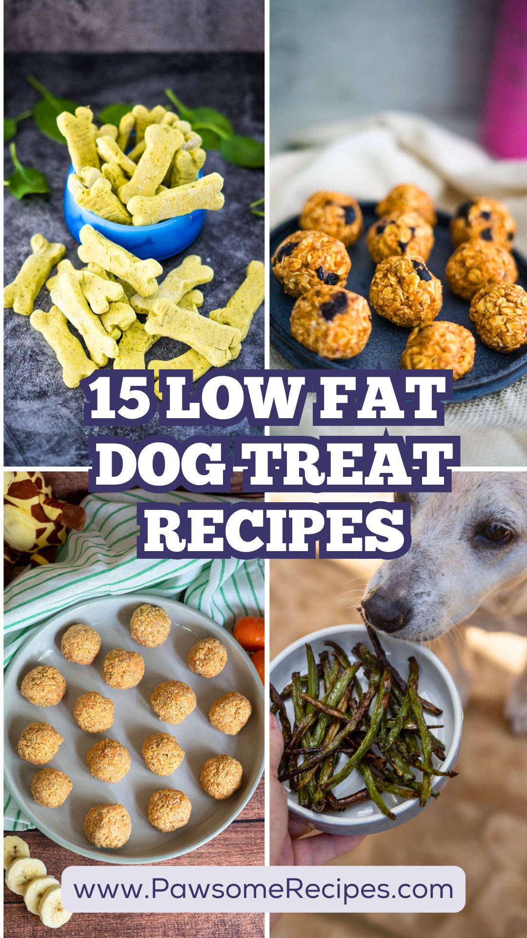 A collage of homemade low fat dog treat recipes features green bone-shaped biscuits, round orange snacks, and baked veg sticks, with the text "15 Low Fat Dog Treat Recipes" and a website link.
