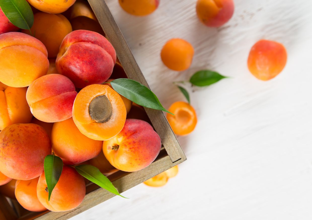 A wooden crate filled with fresh apricots, some whole and some halved, with a few green leaves scattered on a white surface—perfect for summer snacking, but always check if dogs can eat apricots before sharing with your pet.