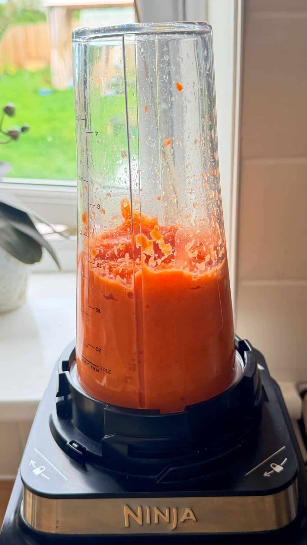 A Ninja blender beaker filled with blended orange-red mixture sits on its base near a window with a garden view.