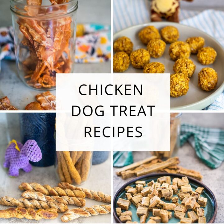 A collage of homemade chicken dog treat recipes in various shapes, with the text "Chicken Dog Treat Recipes" in the centre.