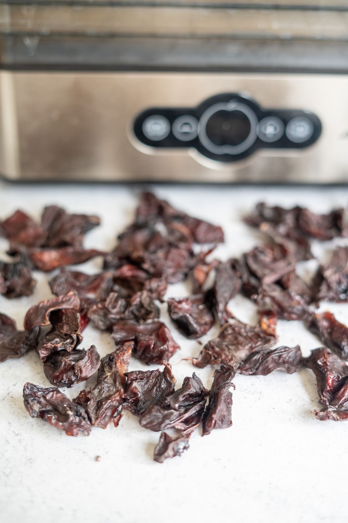 Dried beef jerky pieces spread out on a white surface in front of a food dehydrator.