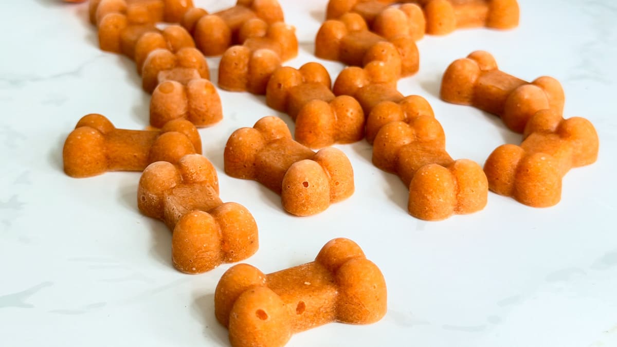 Carrot bone broth dog treats, shaped like orange bones, are scattered on a white surface.