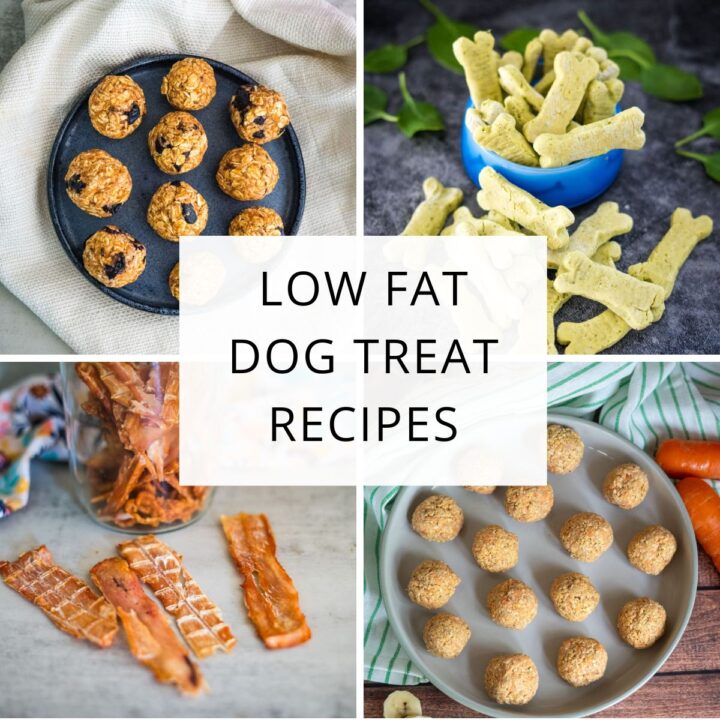 Collage of four types of low fat dog treats, including round bites, bone-shaped biscuits, and strips, with the text "Low Fat Dog Treat Recipes" in the centre—perfect for discovering new low fat dog treat recipes.
