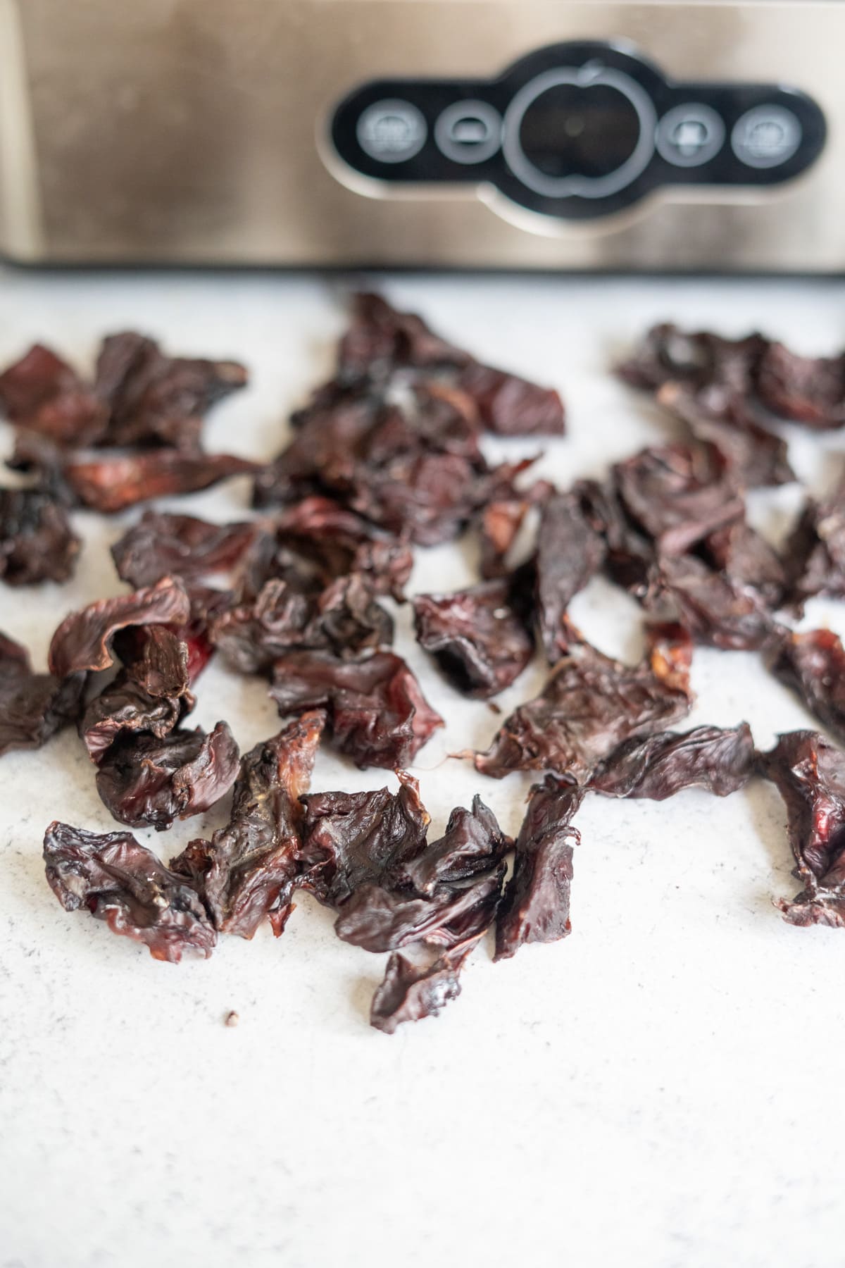 Dried, dark red fruit pieces spread on a white surface in front of a stainless steel appliance.