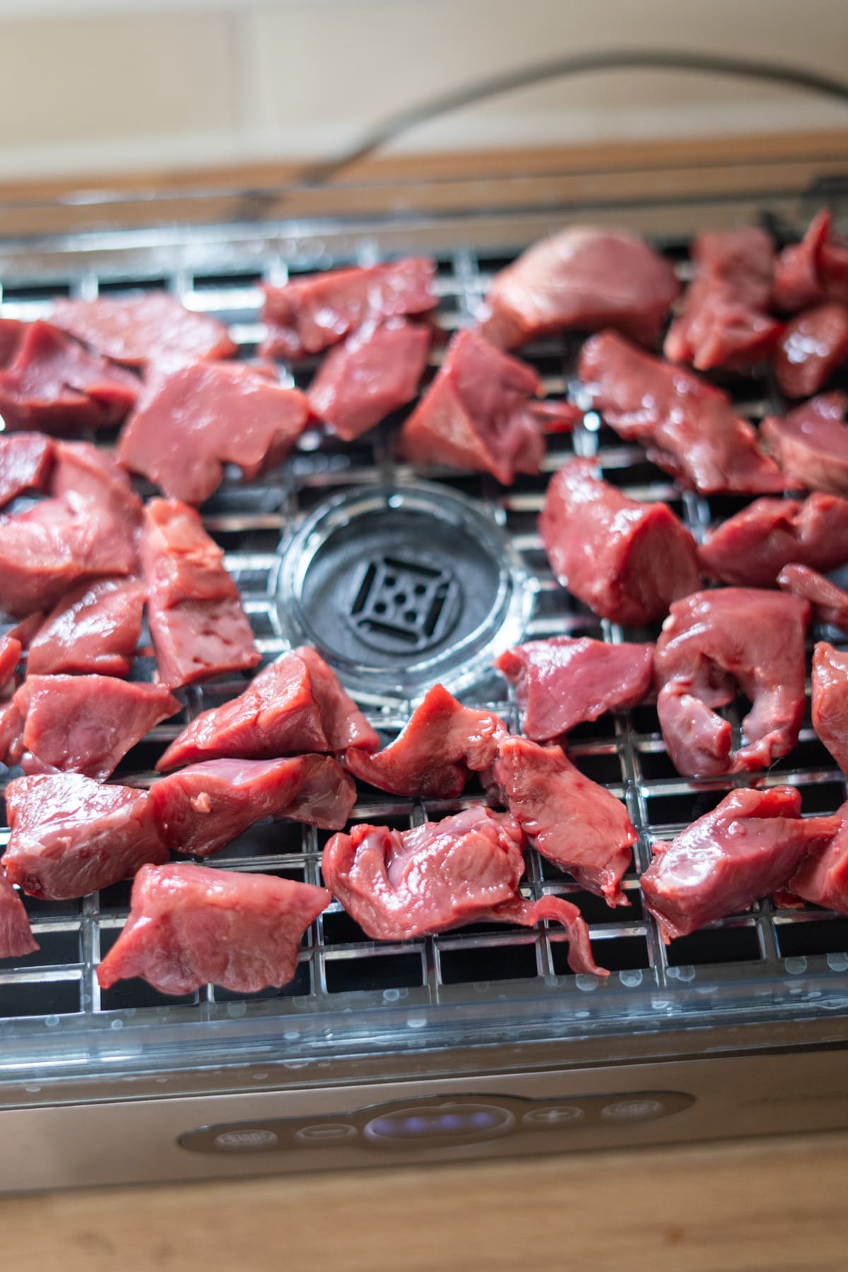 Chunks of raw red meat are arranged on a metal rack inside a food dehydrator, preparing to be dried.