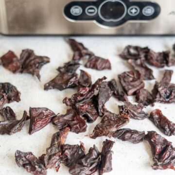 Pieces of homemade beef jerky are spread on a light-coloured surface in front of a food dehydrator.