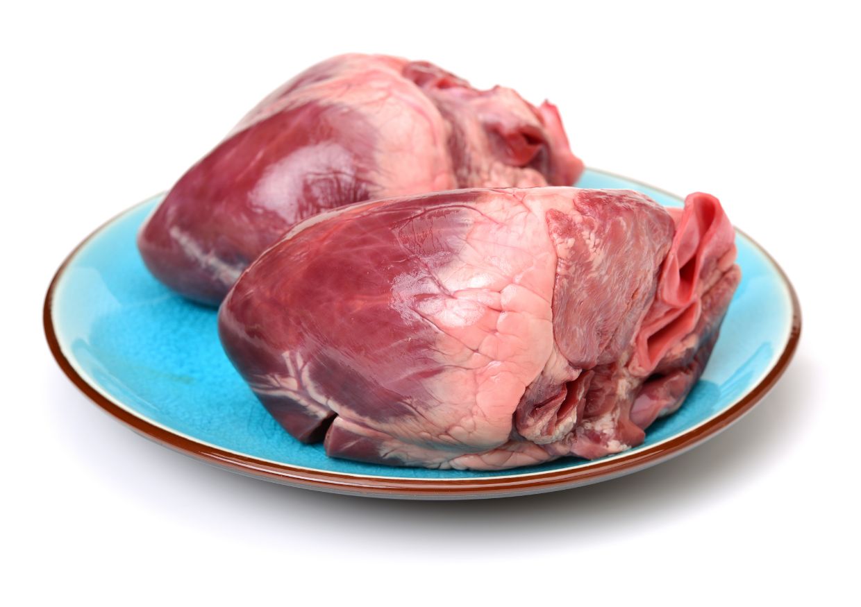 Two raw beef hearts on a blue plate, isolated on a white background.