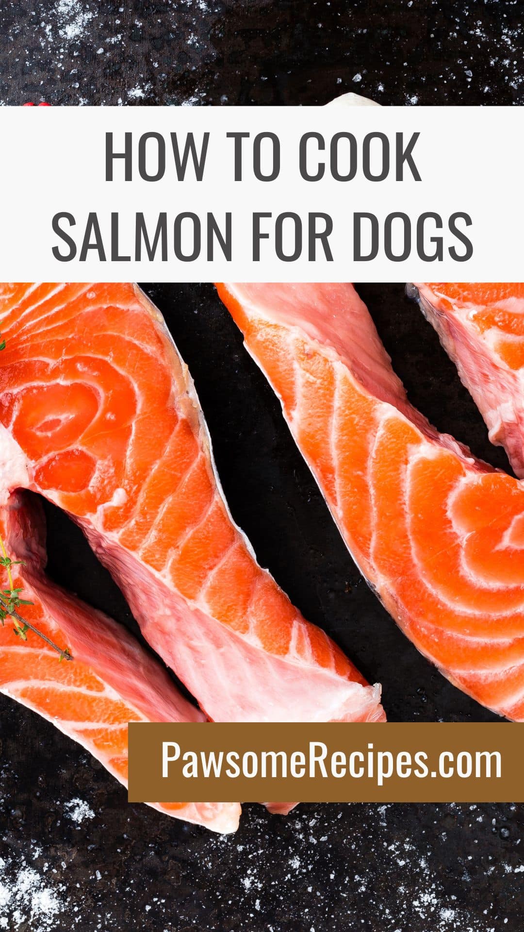 Raw salmon steaks are beautifully arranged on a dark surface, with a bold text overlay displaying “How to cook salmon for dogs” and “PawsomeRecipes.com.” This eye-catching image perfectly captures the essence of learning how to cook salmon for dogs in a safe and delicious way.