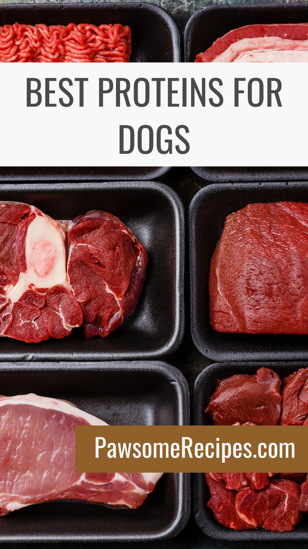 Six black trays with various raw cuts of red meat arranged in a grid, highlighting the best protein for dogs, with text reading “Best Proteins for Dogs” and a website URL, PawsomeRecipes.co.uk.