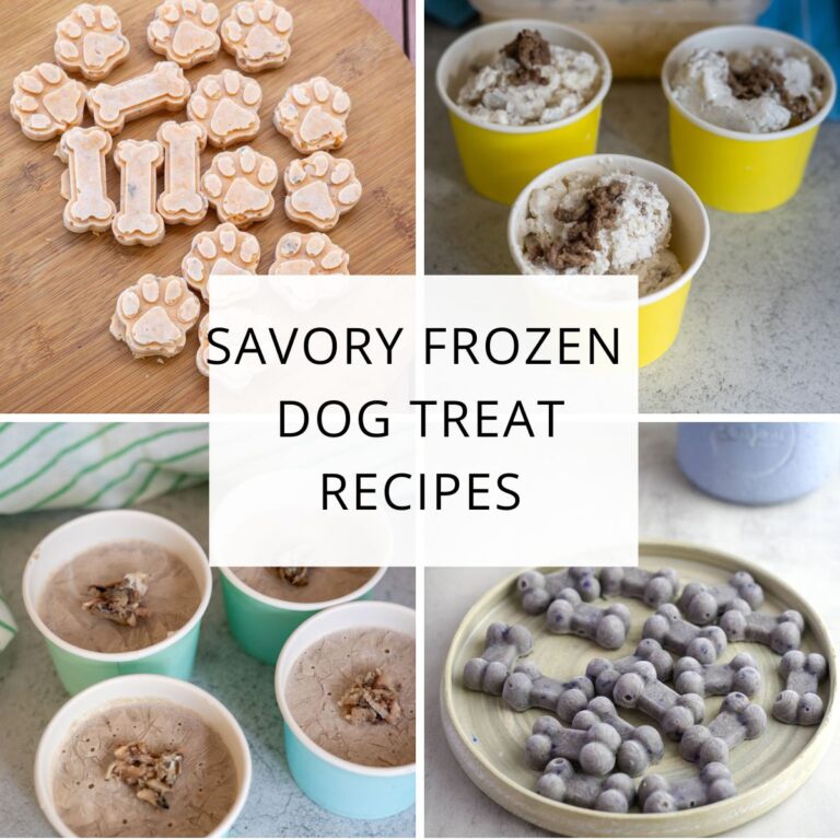 Collage of four types of frozen dog treats, including shaped biscuits, scooped treats in bowls, round treats, and a central label reading "Savoury Frozen Dog Treat Recipes.
