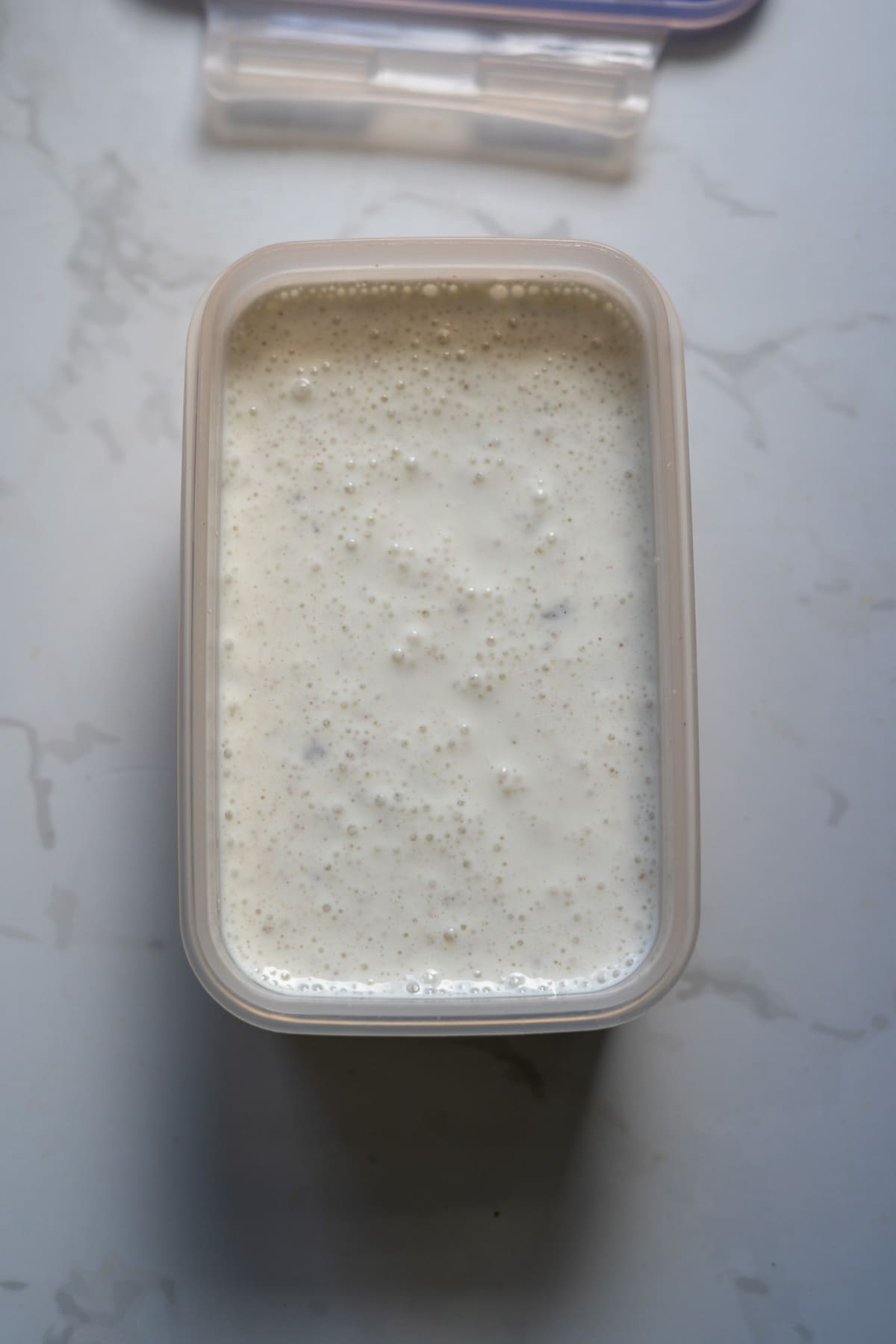 A rectangular plastic container filled with a bubbly white liquid or mixture, placed on a light-coloured marble surface.